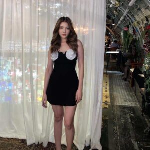 Alternative view of Serena Mini Dress